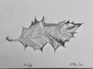 Holly Leaf Sketch By Lizzy Maskey