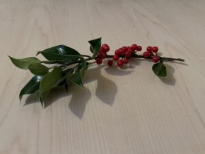 Rounded Holly Leaves and Berries inside