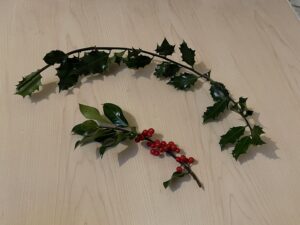 Holly with and without berries
