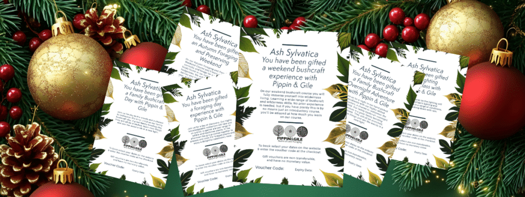 a pile of vouchers for experience gifts for women with a Christmas background
